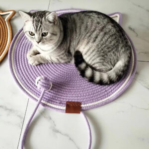 Cat Scratching Toy Carpet