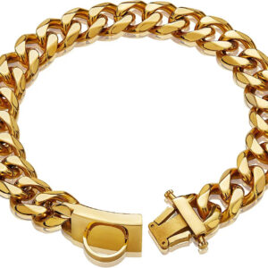 Titanium Steel Dog Collar